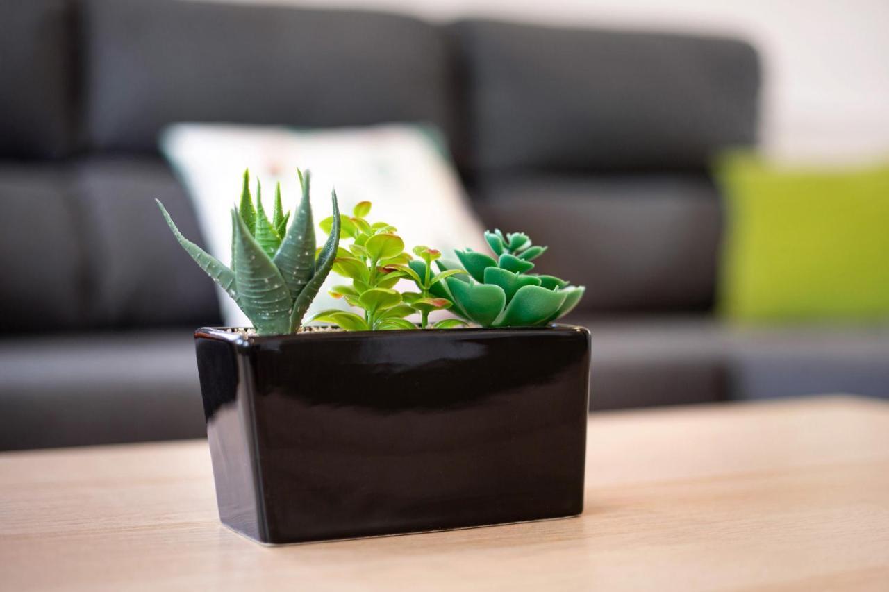 Casa Cactus Βίλα Antigua  Εξωτερικό φωτογραφία